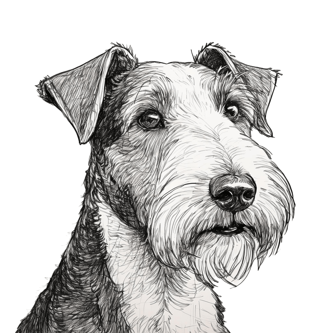 Wire Fox Terrier - The Fussy Pup