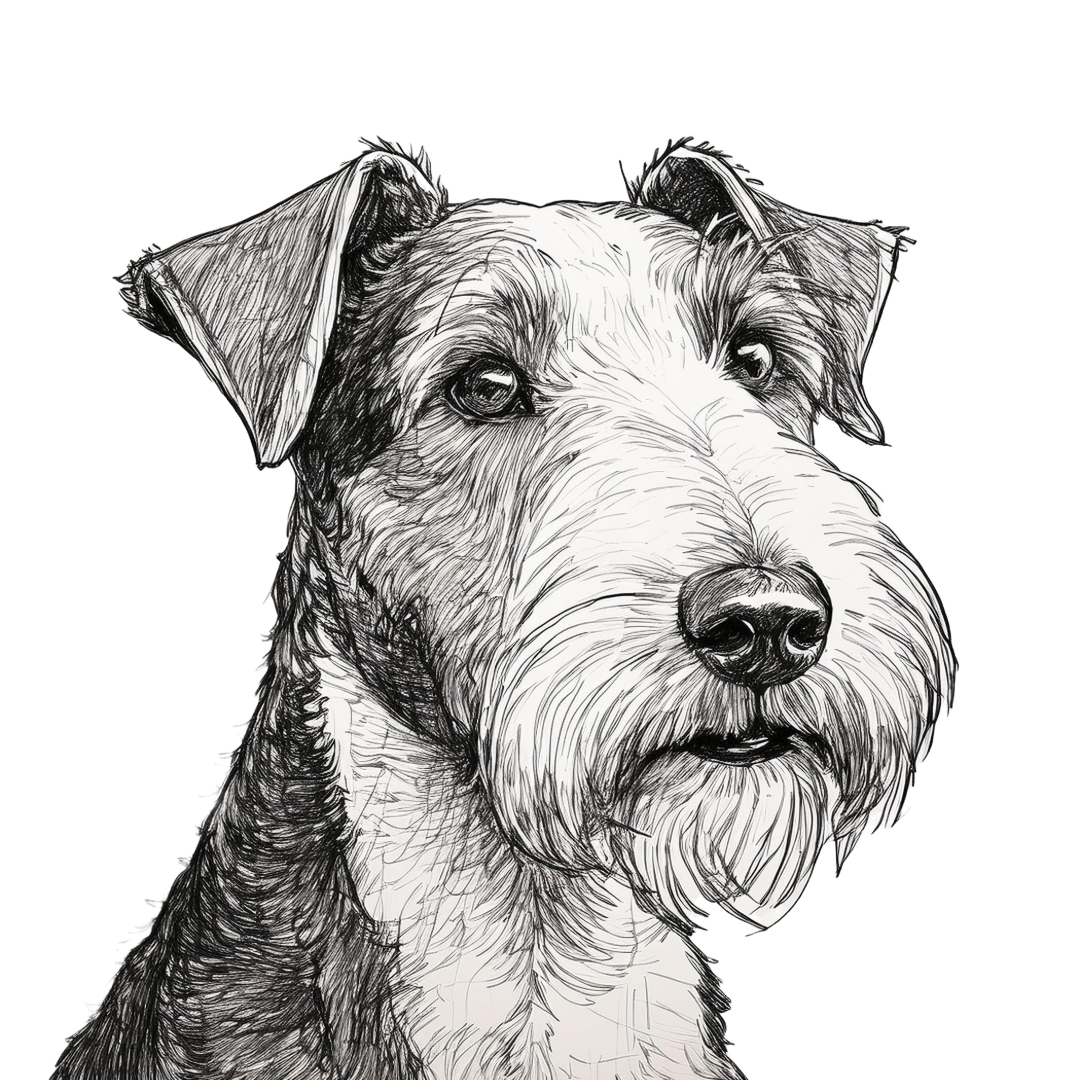 Wire Fox Terrier