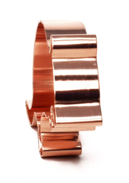 Copper Armadillo Cookie Cutter - Zoo Animal Design (2.5 x 5 inches) - Made in USA