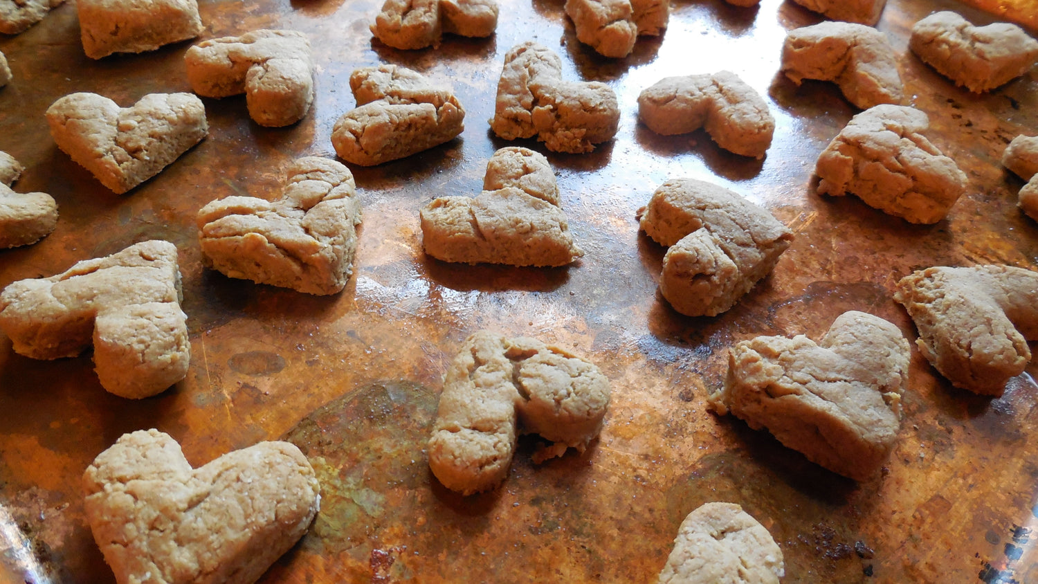 Puppy Love Snacks: Peanut Butter & Honey Treats