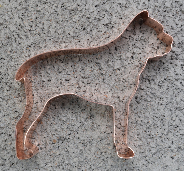 Copper Cane Corso Cookie Cutter - Dog Cookie Cutter, 4 x 3.75 inches, Made in USA