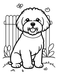 Bichon Frise Coloring Page – Free Downloadable PNG - The Fussy Pup - Coloring Page