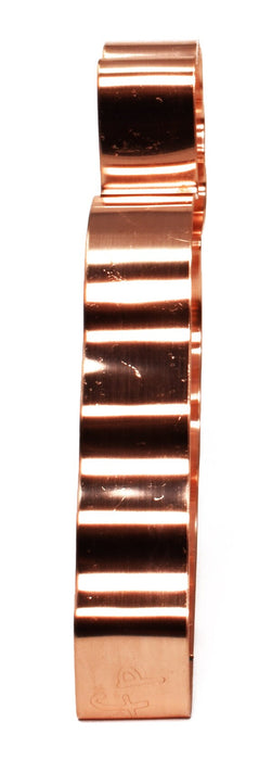 Copper Carrot Cookie Cutter, Vegetable Design 5 x 2 inches, Made in USA
