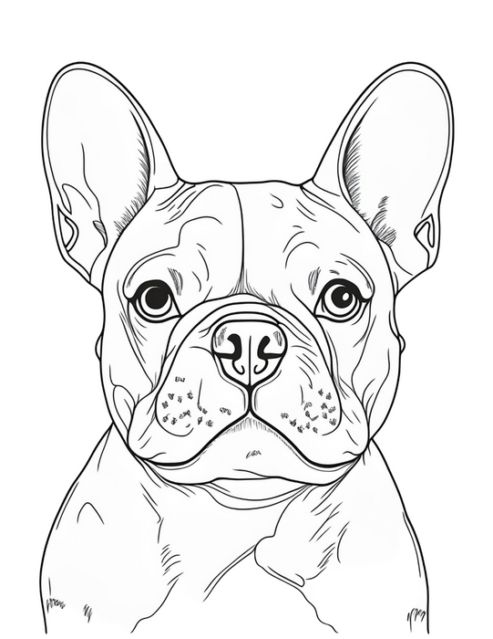 Free French Bulldog coloring page, black-and-white illustration, downloadable PDF, perfect for kids, adults, and dog lovers.