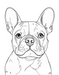 Free French Bulldog coloring page, black-and-white illustration, downloadable PDF, perfect for kids, adults, and dog lovers.