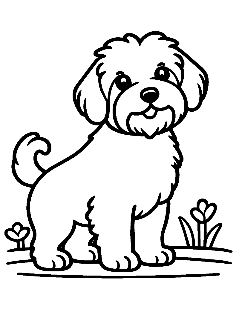 Free Havanese Coloring Page – Downloadable PNG — The Fussy Pup