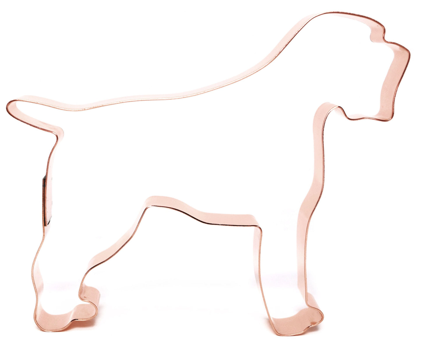 Wirehaired Pointing Griffon Dog Breed Cookie Cutter, 5 x 4.25 inches