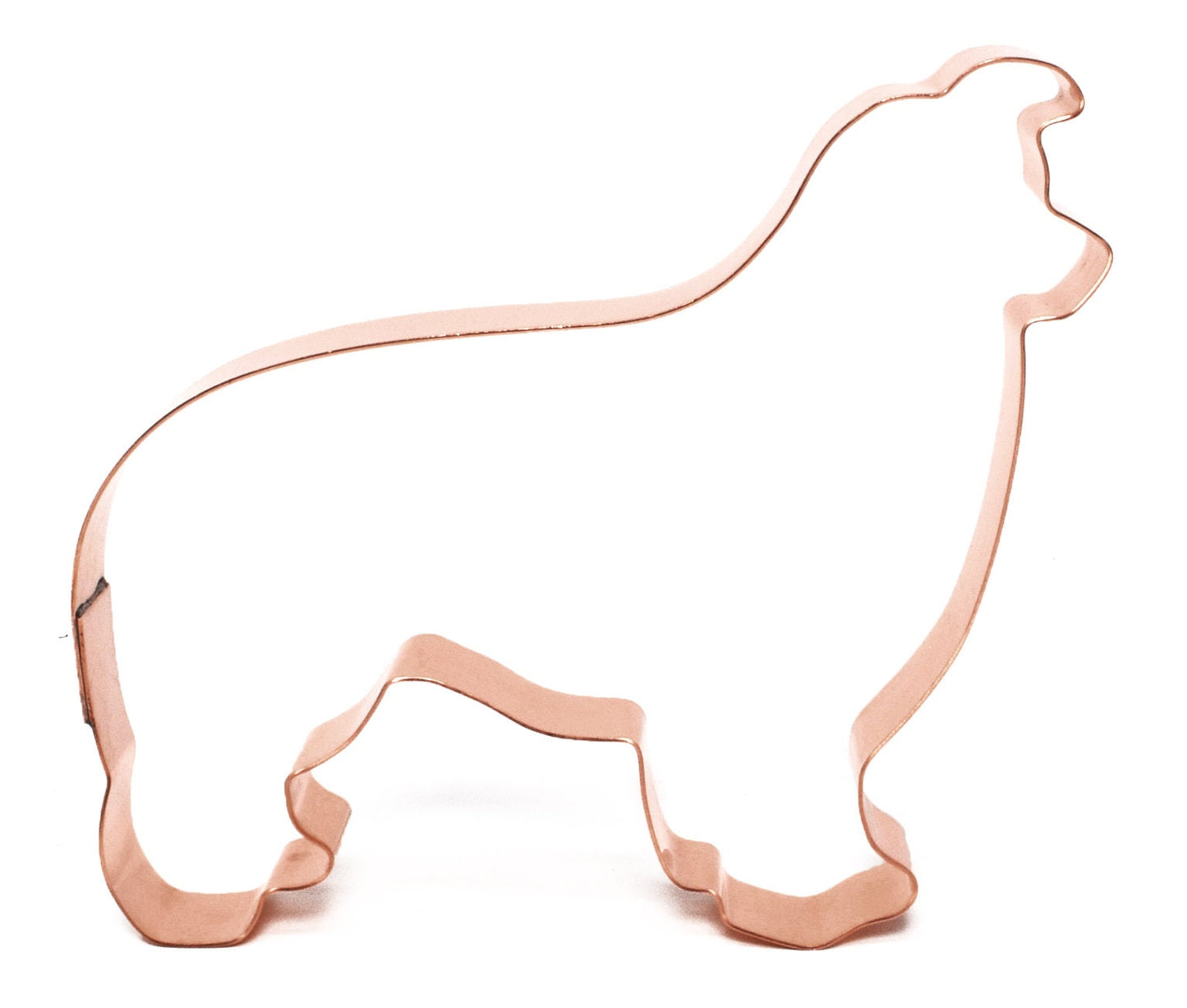 Border Collie Dog Breed Cookie Cutter - Handcrafted by The Fussy Pup