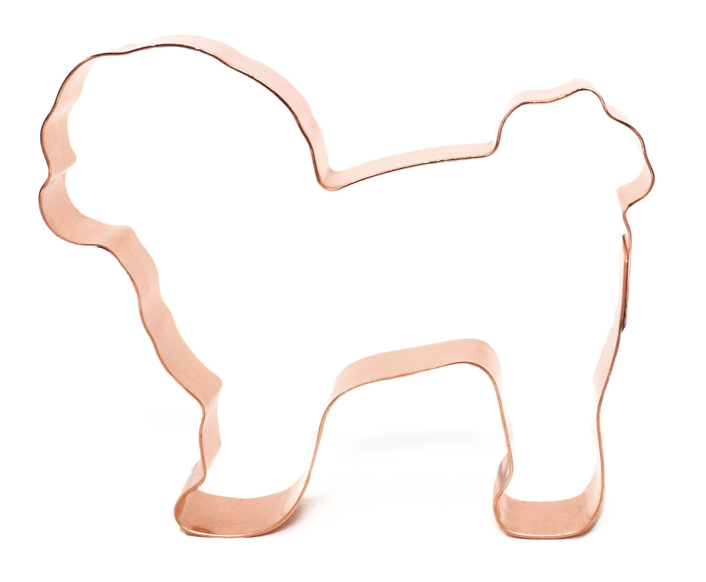 Bolonka Zwetna ~ Copper Dog Breed Cookie Cutter - Handcrafted by The Fussy Pup