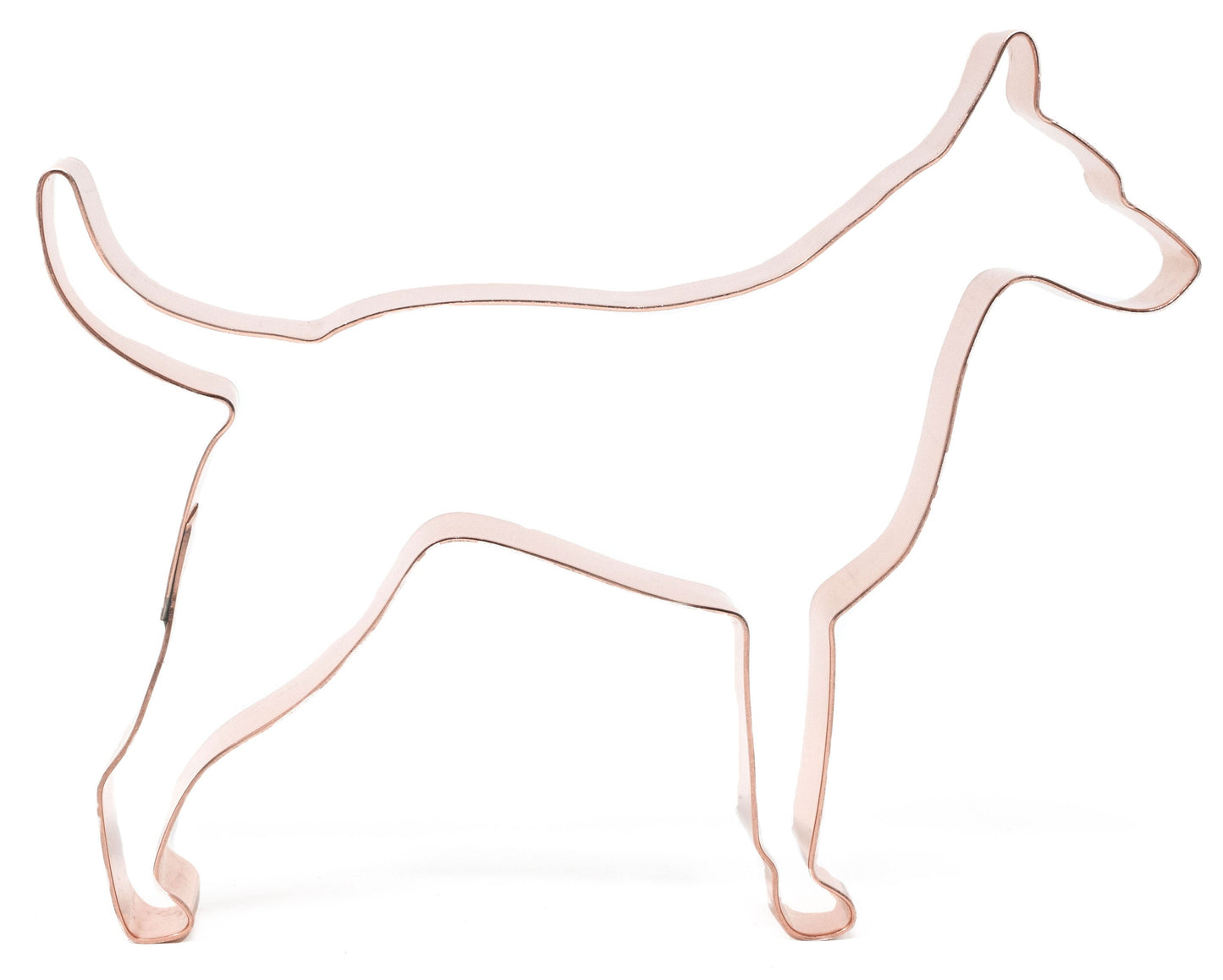 American Hairless Terrier ~ Copper Dog Breed Cookie Cutter ~ Handcrafted by The Fussy Pup