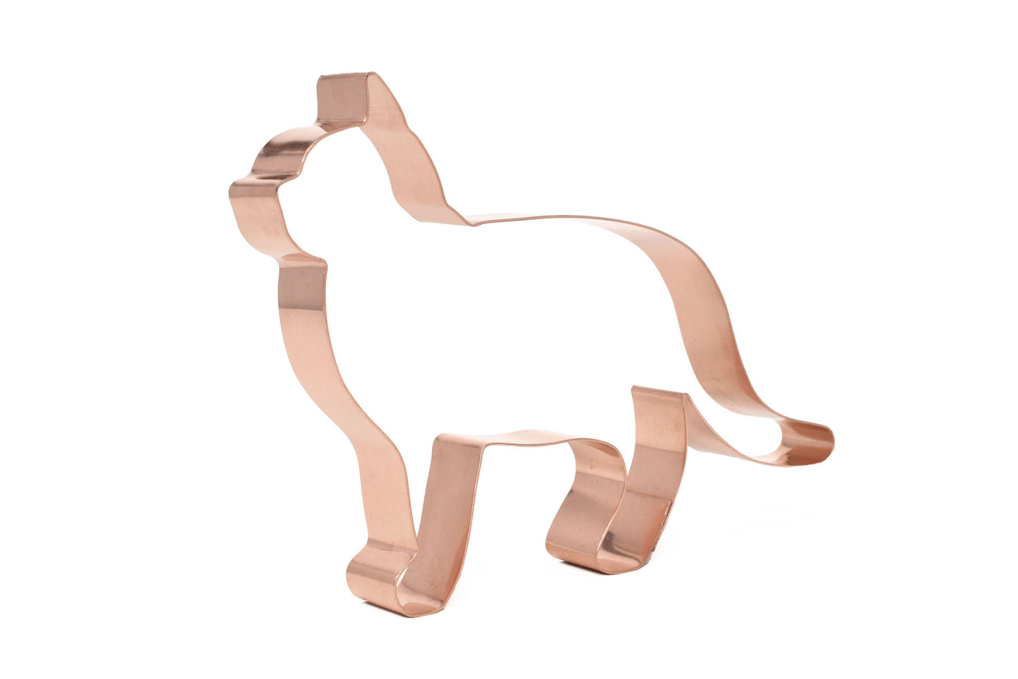 American Shorthair Cat Breed Metal Cookie Cutter 4 X 6.5 inches - Handcrafted Copper Cookie Cutter by The Fussy Pup