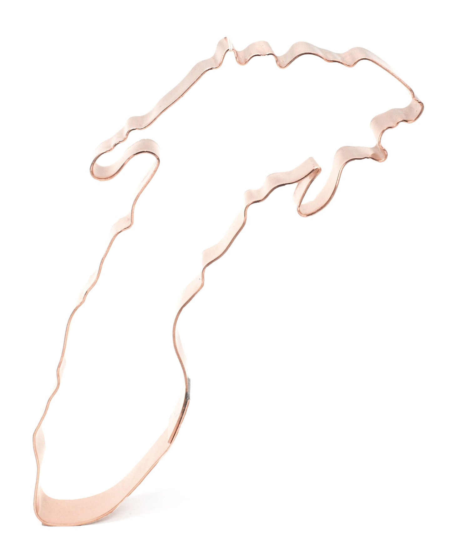 Lake Michigan Cookie Cutter - Handcrafted by The Fussy Pup