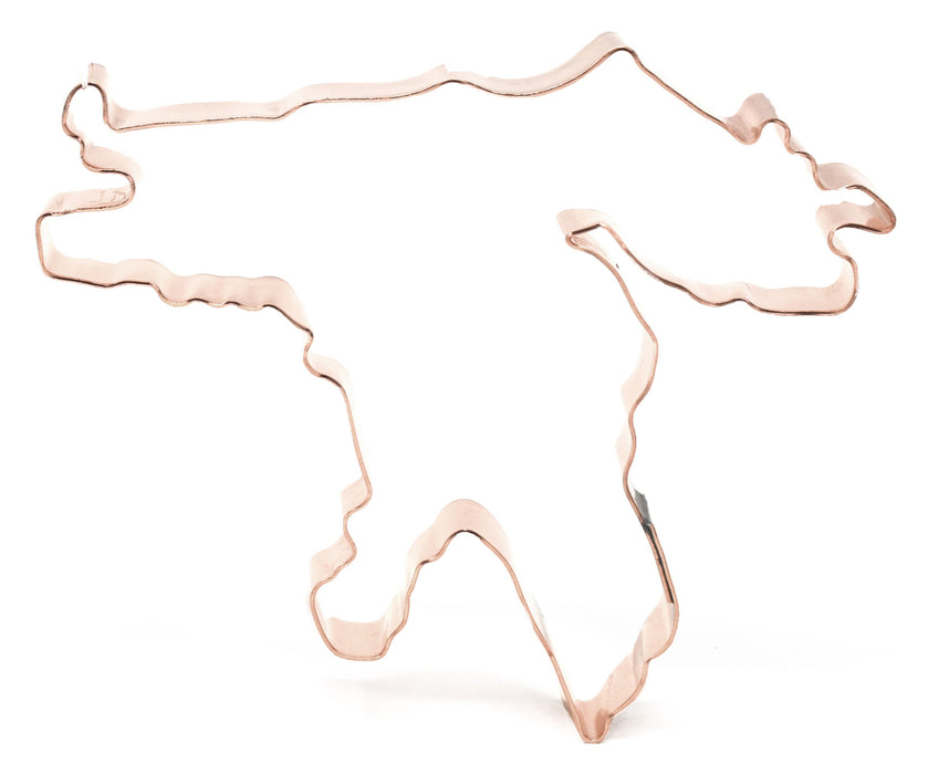 Lake Huron Cookie Cutter - Handcrafted by The Fussy Pup