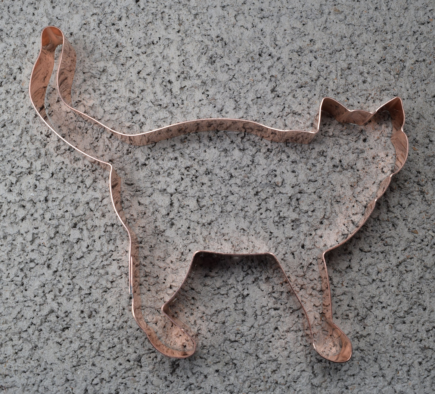 Chartreux Cat Breed Cookie Cutter - Handcrafted by The Fussy Pup