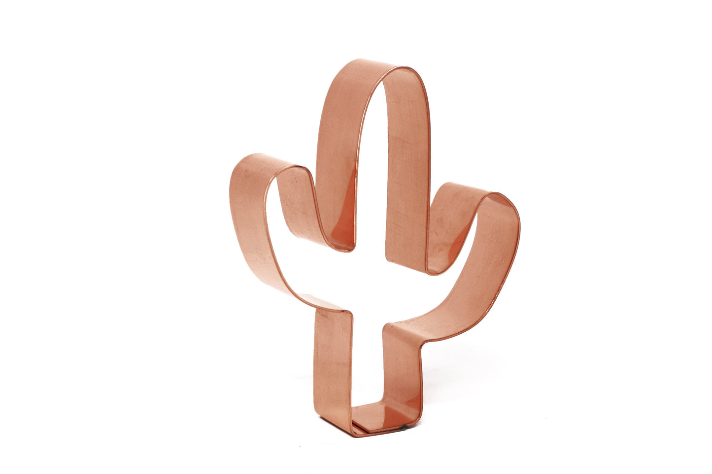 3 inch Tall Little Cactus Cookie Cutter - Handcrafted by The Fussy Pup