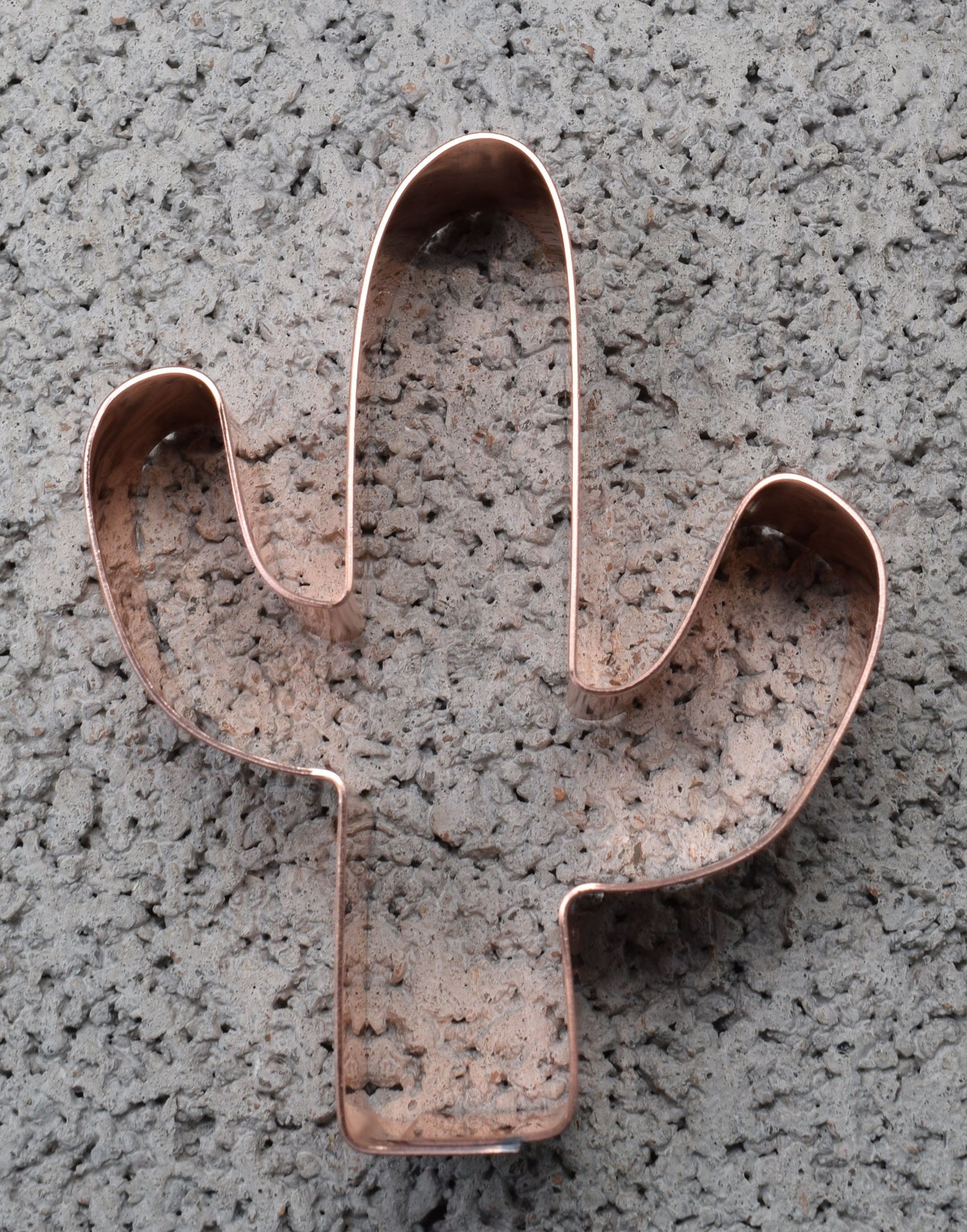 3 inch Tall Little Cactus Cookie Cutter - Handcrafted by The Fussy Pup