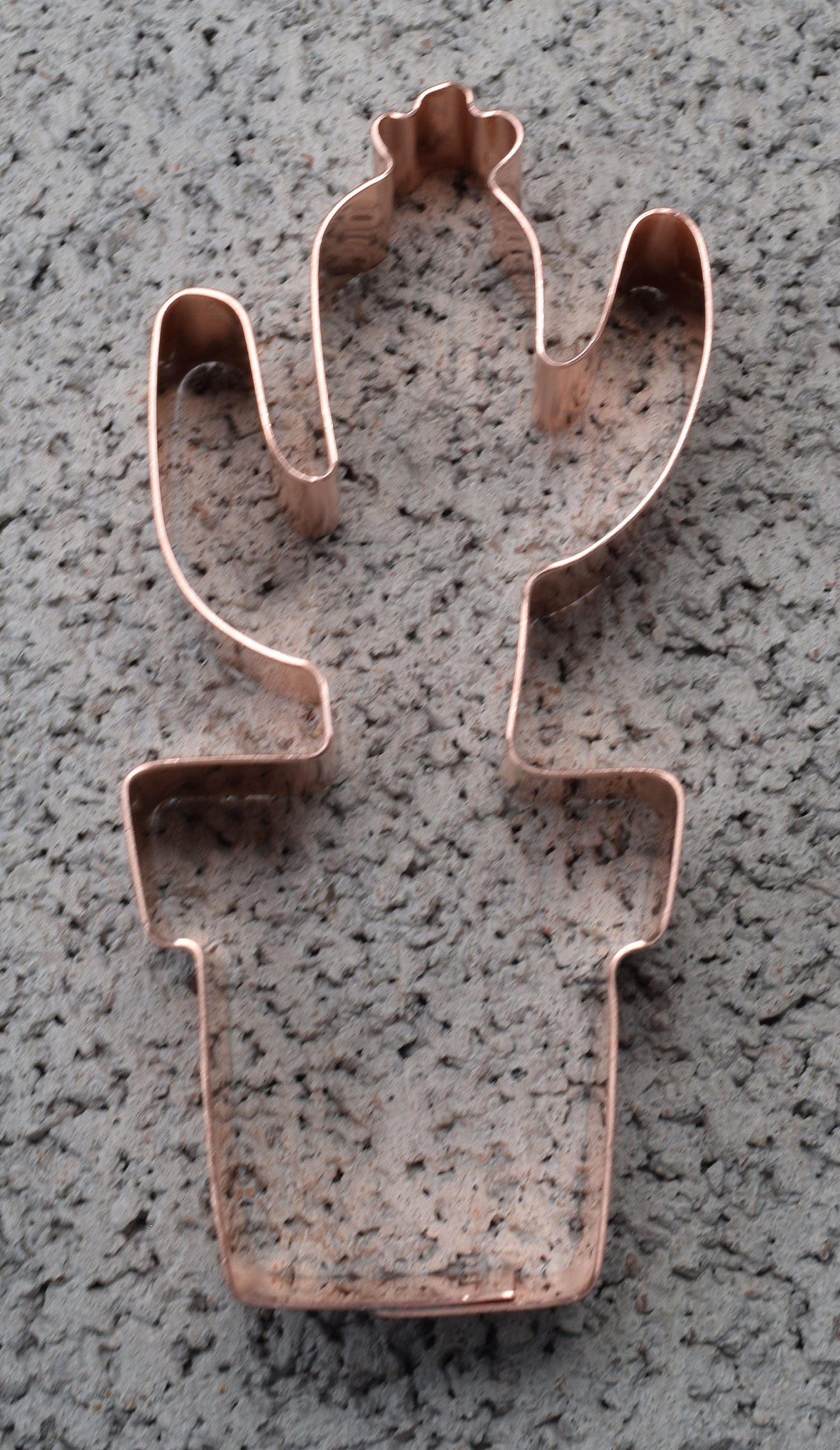 Small Flower Pot Cactus Cookie Cutter - Handcrafted by The Fussy Pup