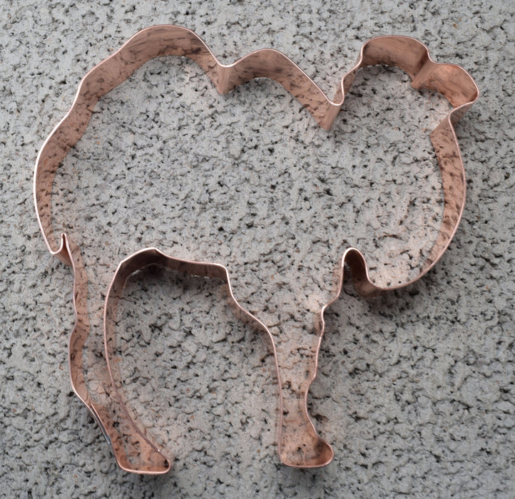 4 3/4" X 4 3/4" Bactrian Camel - Copper Animal Cookie Cutter - Handcrafted by The Fussy Pup