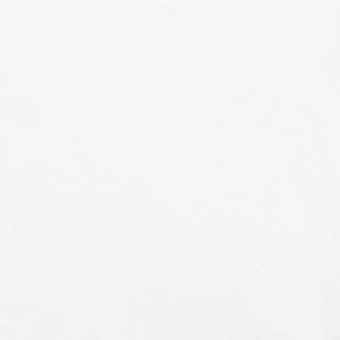 Dachshund T-Shirt – Mens Watercolor Art Design - The Fussy Pup - 